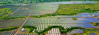Maruti Suzuki Hits Green Milestone With Record Rail Dispatches, Solar Energy Expansion