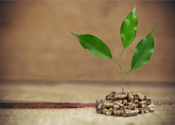 Early E20 Success Puts India’s Auto, Fuel Sectors on Road to Advanced Biofuels