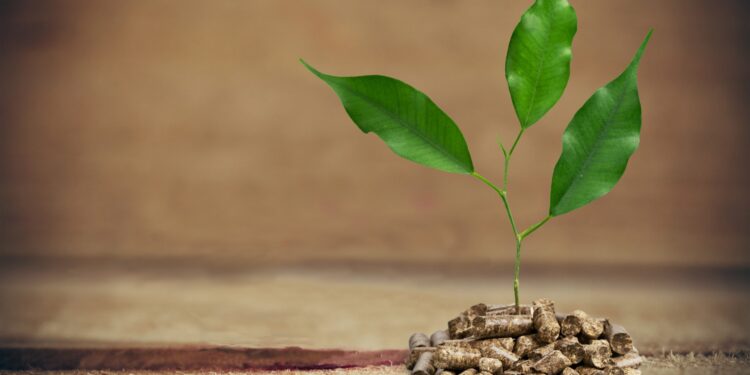 Early E20 Success Puts India’s Auto, Fuel Sectors on Road to Advanced Biofuels