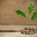 Early E20 Success Puts India’s Auto, Fuel Sectors on Road to Advanced Biofuels